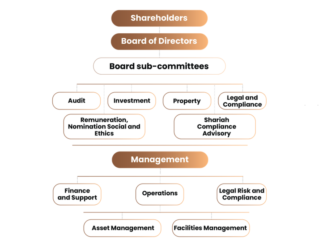 Governance Structure – Amaanat Investment Holdings